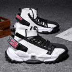 49890b39 1532 4df4 b580 c2f1b4cc075d.jpg