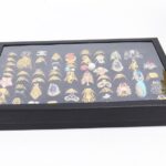 a2063522 08e8 4d28 b750 6058652c8793.jpg